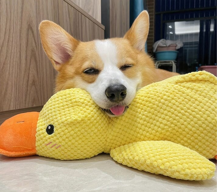 Le jouet Canard Calmant brinquedo Mascato Shop