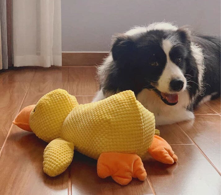 Le jouet Canard Calmant brinquedo Mascato Shop